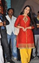 srimannarayana-triple-platinum-function-photos-17