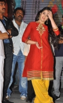 srimannarayana-triple-platinum-function-photos-22