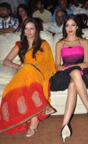 srimannarayana-triple-platinum-function-photos-34