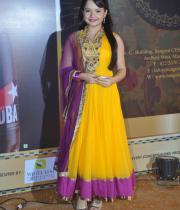 stars-at-boroplus-gold-awards-2013-photos-02