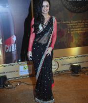 stars-at-boroplus-gold-awards-2013-photos-16