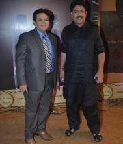 stars-at-boroplus-gold-awards-2013-photos-56