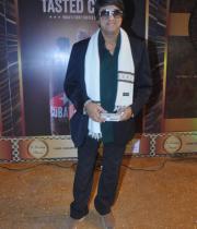 stars-at-boroplus-gold-awards-2013-photos-63