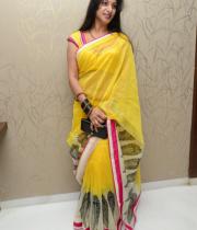surekha-vani-saree-stills-at-yevadu-press-meet-12