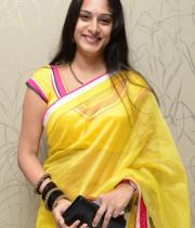 surekha-vani-saree-stills-at-yevadu-press-meet-5