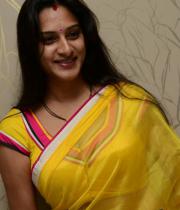 surekha-vani-saree-stills-at-yevadu-press-meet-6