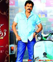 svsc-release-posters-7