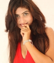 swapna-hot-photo-gallery-11