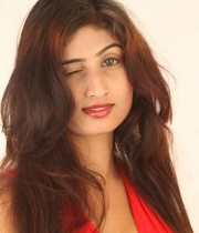 swapna-hot-photo-gallery-12