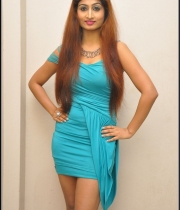 actress-swapna-hot-stills11386449090