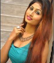 actress-swapna-hot-stills141386449092