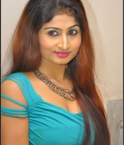 actress-swapna-hot-stills161386449092