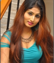 actress-swapna-hot-stills201386449092