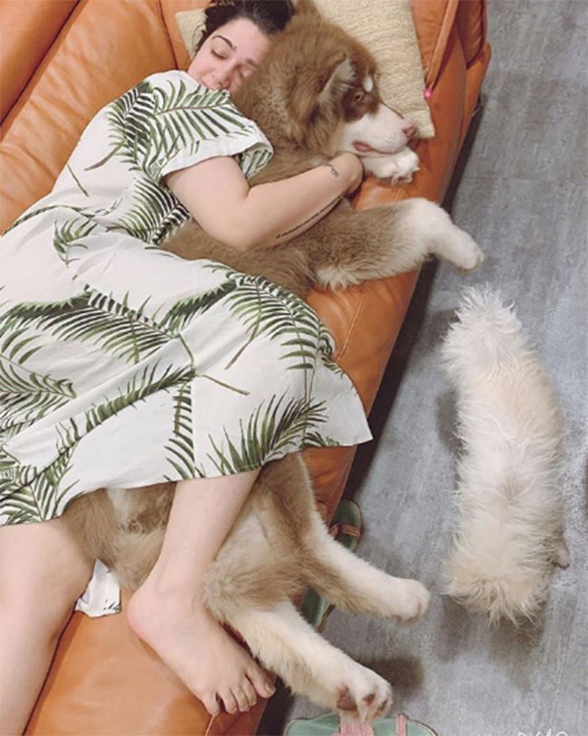 ఛార్మి డాగ్ ఎంత పెద్దదో