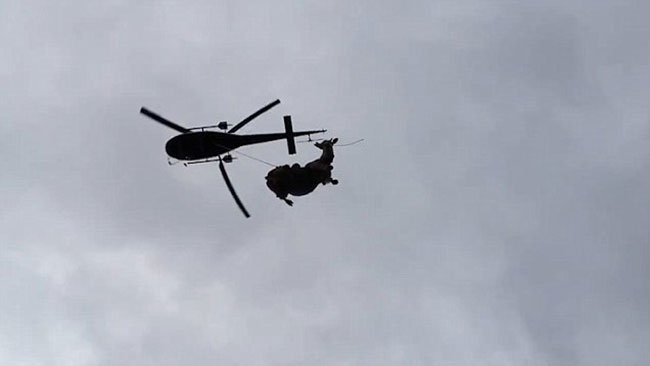 ఆవుకు చికిత్స కోసం హెలికాఫ్టర్ తెప్పించారు! ఆవుకు చికిత్స కోసం హెలికాఫ్టర్ తెప్పించారు!