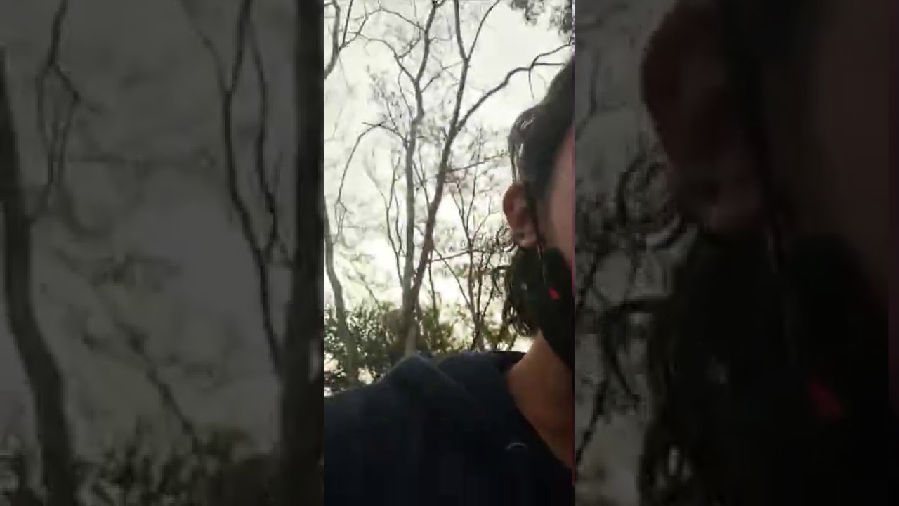 పబ్లిక్ లో ఇదేంటంటూ హీరోయిన్ పై సామాజిక కార్యకర్తల దాడికి యత్నం