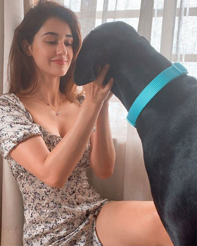 Loafer Beauty Showers Love On Her Pet