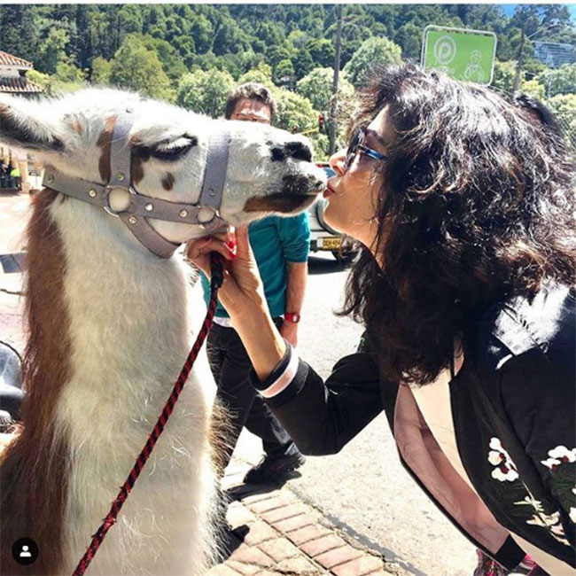 గుర్రాల్ని గాడిదల్ని పబ్లిక్ లో ముద్దాడేస్తే ఎలా పాపా!