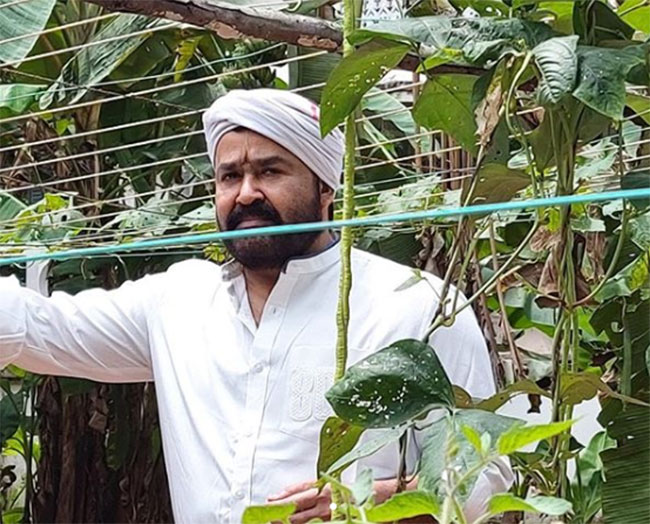 Superstar Enjoys Organic Farming