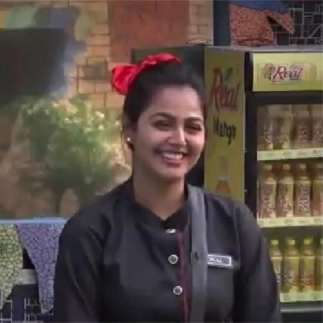 బిగ్ బాస్ 4.. సారీలు సరే.. ఆ ఏడుపులు అరిచేయడాలేంటమ్మా!