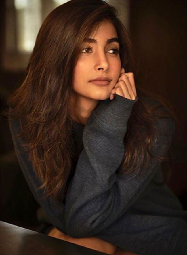 టాలీవుడ్ బ్యాచిలర్ల గాళ్ ఫ్రెండ్ పై భాయ్ మోజేల?