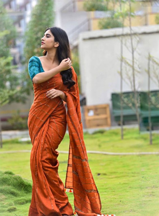 ఊర మాస్ ఇస్మార్ట్ శంకర్ లకు తిక్క రేగుతుందేమో!