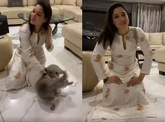 అందరి ప్రార్థనల వల్లే త్వరగా కోలుకున్నా: తమన్నా