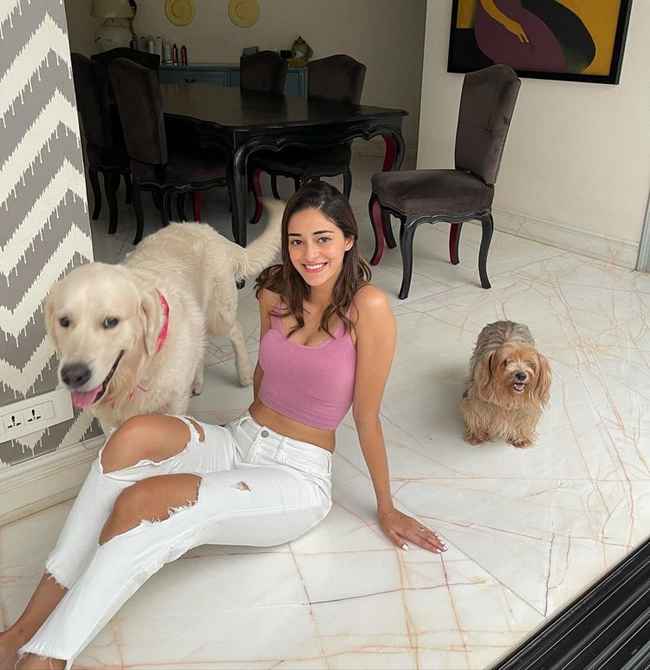 చినుగులా చించుకుందా ఏంటిలా?