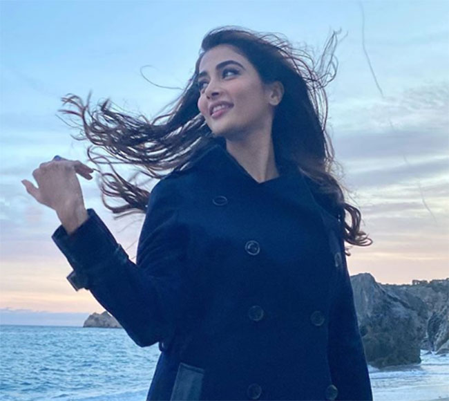 టాలీవుడ్ పై సెన్సేషనల్ కామెంట్స్ చేసిన పూజాహెగ్డే