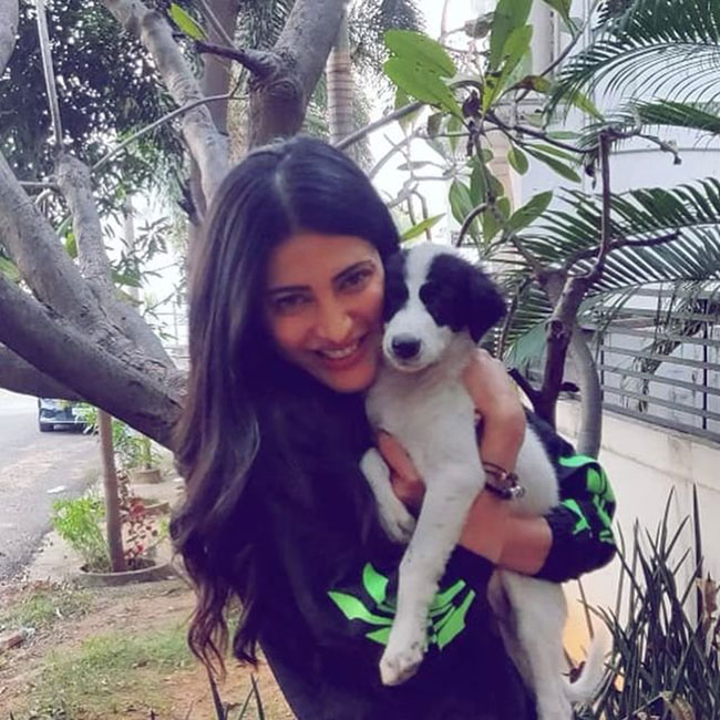 బోయ్ ఫ్రెండ్ కంటే కుక్క విశ్వాసం గలది!