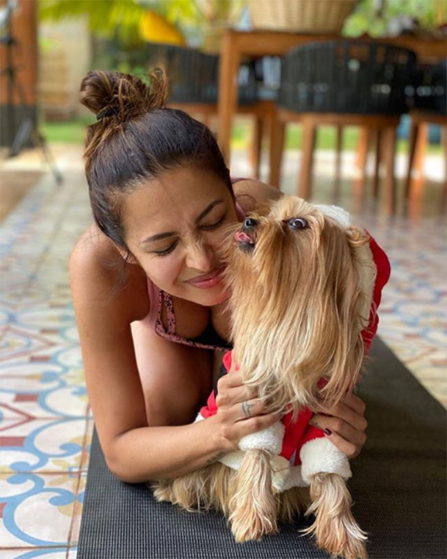 2020లాస్ట్ పిక్: మార్వలస్ మలైకా