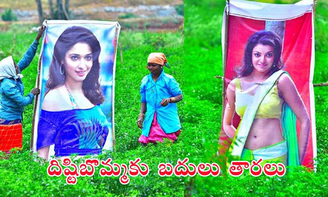 మిర్చి తోటలో అందాల బొమ్మలు.. తమన్నా కాజల్ సందడి! మిర్చి తోటలో అందాల బొమ్మలు.. తమన్నా కాజల్ సందడి!