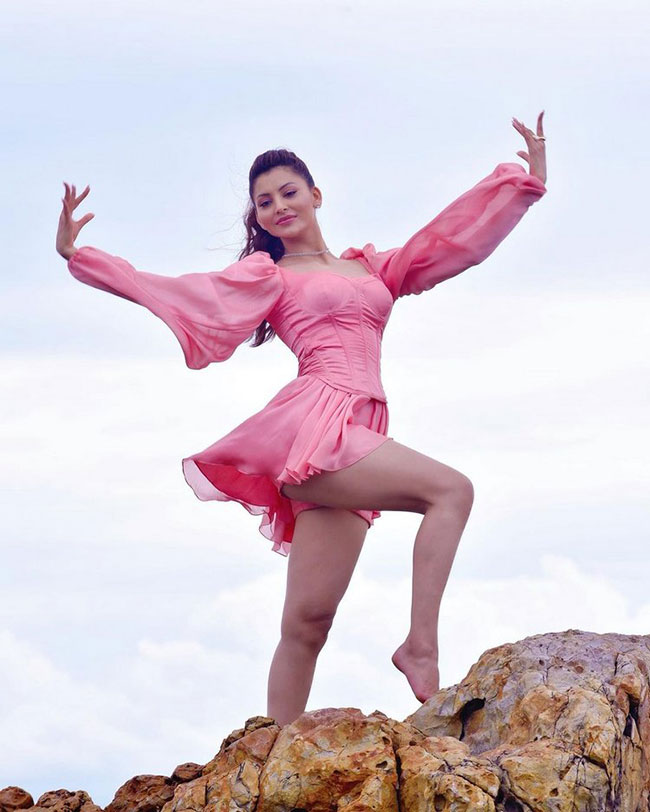 రెక్కలు తొడిగిన పింక్ గులాబీ రెక్కలు తొడిగిన పింక్ గులాబీ