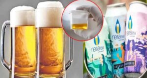 Beer From Urine: మూత్రం, మురుగు నీటితో బీరు తయారీ.. యమా టేస్టీ అంటున్న మద్యం ప్రియులు Beer From Urine: మూత్రం, మురుగు నీటితో బీరు తయారీ.. యమా టేస్టీ అంటున్న మద్యం ప్రియులు