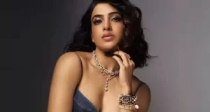 సిటాడెల్ ప్ర‌చారం లాంచింగులు 2024లో?