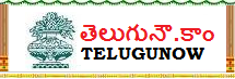 TeluguNow Logo